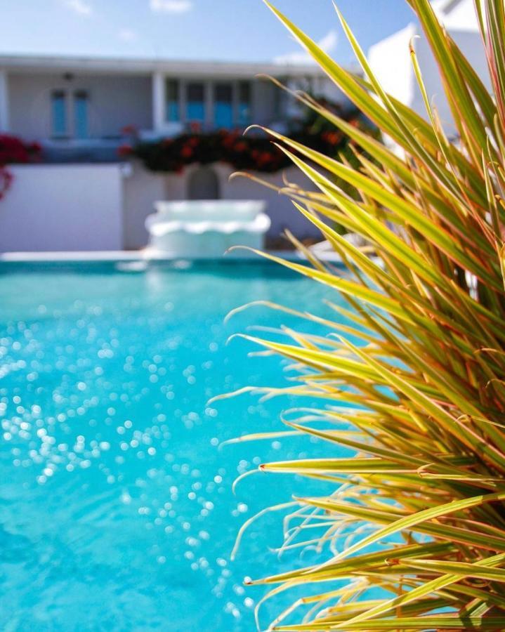 Trade Winds Hotel Dickenson Bay Екстериор снимка