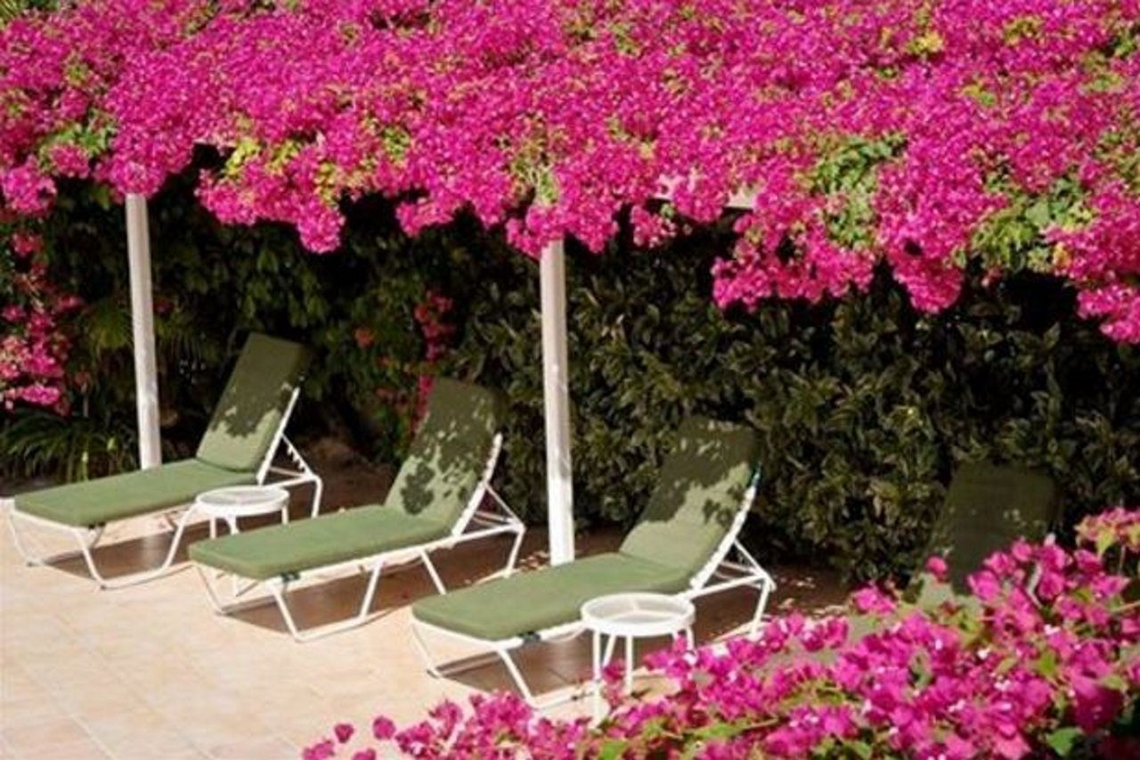 Trade Winds Hotel Dickenson Bay Екстериор снимка