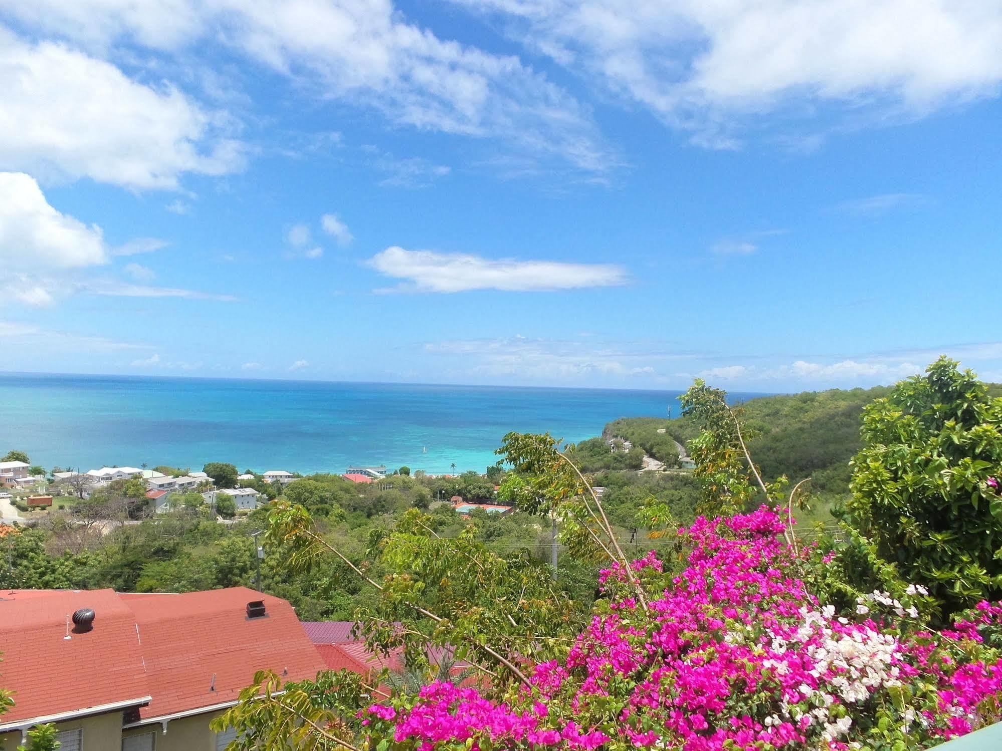 Trade Winds Hotel Dickenson Bay Екстериор снимка